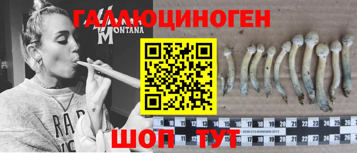 Мончегорск  Псилоцибиновые грибы прущие грибы  Вход с VPN 