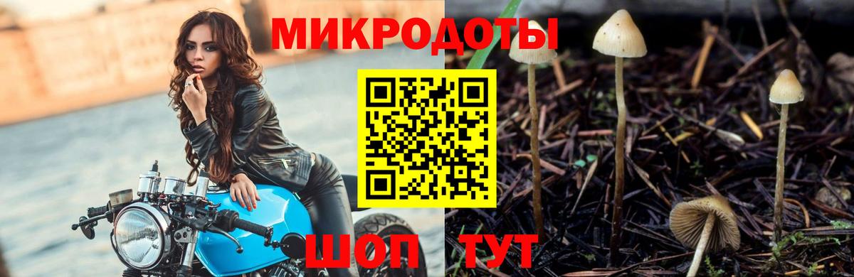 Галлюциногенные грибы ЛСД Мончегорск